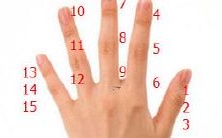 揭示人性特质、未来运势与健康状况的手掌右手手相分析