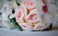 2025年的全球星历表：详尽呈现天象变化，帮助您更好地观测和探索宇宙奥秘