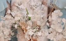 结婚后，双子座女士与天蝎座男士的配对：甜蜜幸福还是灾难不断？