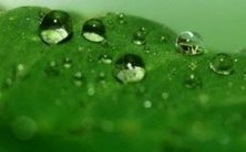 穿五行忌木的注意事项之一-选择首饰时要多戴白色的！