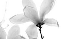 2023年马年破太岁现象之含义与解读是什么？