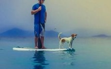 通过手相看事业，发现存在好运迹象