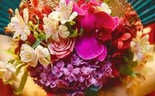 男性射手星座一区配对女性天蝎星座三区 - 一场命运共鸣的深度情缘