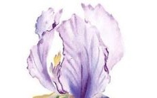 探寻美好艺术世界：精美书画院的独特名称推荐