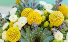 深度解析：男性天蝎座二区和女性射手座一区的星座组合，性格、爱情和事业上的优缺点及适合的相处模式