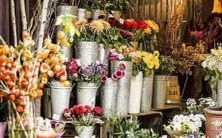 究竟在哪里？ ——十二星座初吻的地点大揭秘