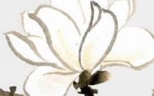 2023年9月将是属兔人的繁华时刻：属兔人们将迎来最佳时机并大放异彩！