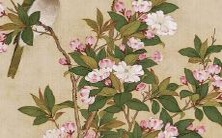 如何发掘和发挥每个星座独有的天生特长和潜质？