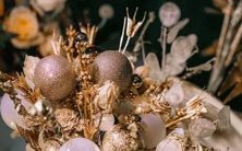 使用星座图表查询双人恋爱星盘位置及星座关系