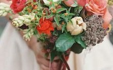 及金牛座最佳配对对象推荐，完整的金牛座配对指南