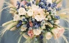 1971年出生的女性，属于猪的星座是哪一个？