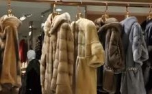 在梦中看到芦笋，这意味着什么？梦见芦笋是好兆头还是坏兆头？