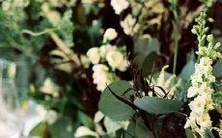 通过星座测试探寻缘分：揭秘你的爱情命运