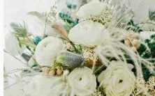 探讨男性双子座二区与女性双鱼座三区的星座配对关系：优缺点、潜在冲突及建议