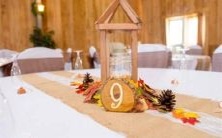 了解处女座最佳配对：哪些星座最适合处女座的个性？