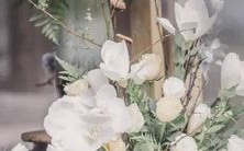 星座为何总是不敢表白爱意，导致错过爱情机会？