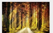 乾为天门的意义：揭示乾为天卦对感情走向的影响