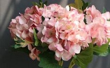 星座配对：男天秤座一区和女双鱼座一区的关系如何？