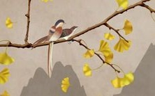 以“姓张属虎男孩”为前缀的长标题：如何为一个姓张属虎的男孩选择一个合适的名字？