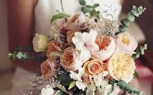 女和哪些星座最相配？水瓶、狮子、金牛或同样的天蝎？