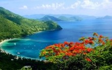 做梦被猫咬手指不松口，预示着什么？猫咬梦境的暗示与意义解析