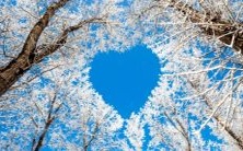 深入探究：梦见老虎狮子进屋所代表的象征意义以及梦中被咬的吉凶预示意义