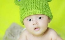 从主人的角度出发，探讨选择最好听的公柴犬名字的方法和建议