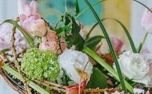 你是否是其中一位？探究哪些星座总是胆小不经吓！