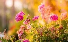 周公解梦：梦见鬼身附体，灵魂遭遇身体侵害之恐怖梦境