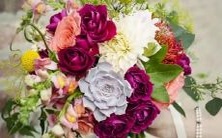 的还是阳性的？探究12星座的性别属性