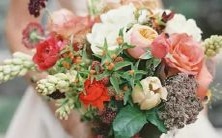 这些星座的孤岛生存能力出奇制胜，毫无畏惧之情！