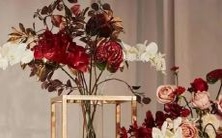 大揭秘：十二星座公主裙变身动画与童话故事的神奇交织之旅