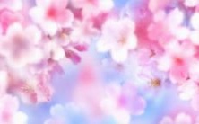 在古代社会中，天蝎座身份究竟是什么？天蝎座是否有可能会追回与之前分手的对象？