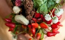 全面掌握星座知识的最全游戏集锦，让你轻松游戏中学习，成为星座专家！