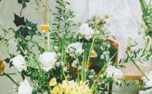 你是否遇见过在爱情中十分强调绝对主动的星座女呢？