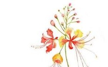 美丽动人的地名——挑选各种具有魅力的地区名称