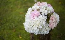 十二星座在处理事务时是否只注重成果而不关心人情？