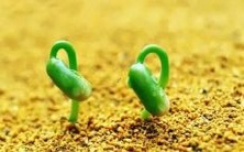 周公解梦：梦见小孩出生，预示着成功和新生活的开始