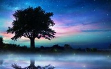 沙中金命的出生年份是什么？他的命格是否属于上等命呢？