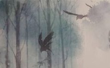 预测：探究1968年生肖猴在2022年的运势前景