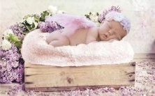 梦见标枪并求周公解梦鉴定，寻觅梦中标枪象征何意？