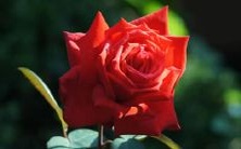 做梦时沉溺于泥淖中挣扎着逃脱这种感觉，让人倍感疲惫和无助