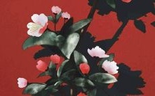 你曾经听说过最美妙动听的名字是什么？