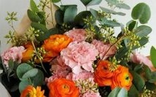 关于十二星座最害怕的动物的详细调查和分析