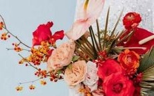 选择，遵循自我风格，追逐独具一格的宇宙能量——探索星座与个性化之间的深度联系