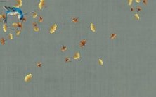 如果你是出生在属虎火命的人，考虑起一个好听且符合命理学的名字是什么？