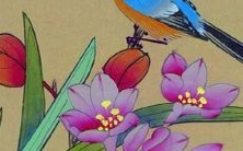 超级可爱的、在动漫中广受赞誉的女性角色名字大集合！