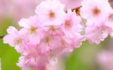 我做了一个梦，在梦中涂上了石灰，那么这个梦代表着什么意义？