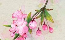 适合姓李的家庭选择的虎宝宝男孩命名建议