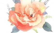 古诗之美：美丽动听的女孩名字汇集